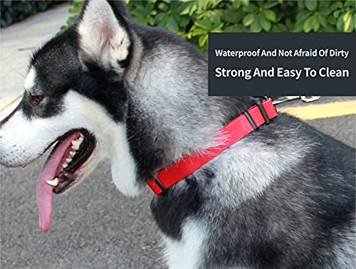 Waterproof Dog Collars,Easy Clean Collar,Adjustable Dog Collars for Small,Medium, Large Dogs(red, L) - color: Red, size: L