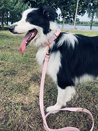 Dog Collar and Leash Set.Soft and Easy to Clean Vegan Leather with Rose Gold Metal Buckle for Small Medium Large Dogs (Pink, L(15.4”-24.8“) - color: Pink, size: L