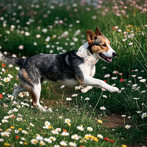 DOGWONG Flower Dog Collar with Bowtie - Cute Girl Bowtie Dog Collars, Adjustable Female Flower Pet Collars Design Dog Collar with Quick Release Buckle for Puppy Girl Female Dogs - color: Flower, size: S