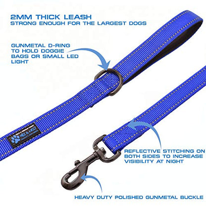 Max and Neo Small Dog Leash - Reflective Nylon, Donates to Dog Rescue (Teal, 4x5/8) - color: TEAL, size: 4 FT x 5/8" Wide