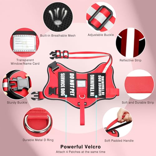 Service Dog Vest Harness and Leash Set+10 Patches,No Pull&Adjustable Reflective Dog Harness with Soft Padded Handle for Training/Everyday,Fit Small/Medium/Large/Extra-Large Dogs(Red M) - color: Red, size: Medium