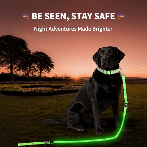 Night Walking LED Dog Leash - 6FT Reflective & Waterproof Light Up Safety Leashes for Dogs - USB Rechargeable, Green - color: Green(Fiber optic version)