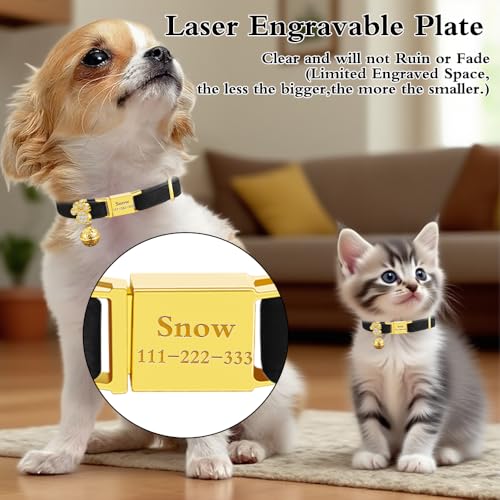 Personalized Breakaway Cat Collars - Magnetic Buckle, Bell - Safety Quick Release, Customized for Girls & Boys Cats- (Velvet-Black) - color: Velvet-Black