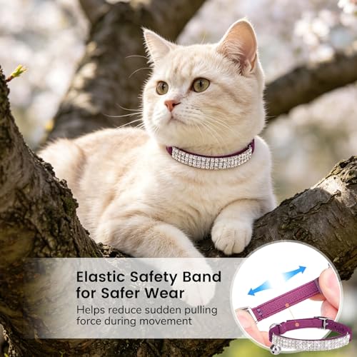 BINGPET Diamond Cat Collar with Bell, Adjustable Soft Velvet Bling Rhinestone Cat Collar, Sparkly Kitten Collar with Safety Elastic & Metal Buckle for Small Medium Cats - color: Purple(Rhinestones), size: Neck Girth 8"-10"