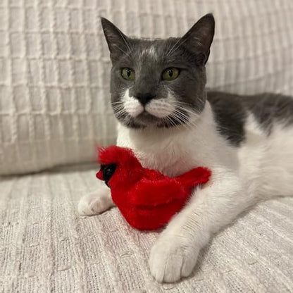 SPOT Song Birds Cat Toy- Touch Activated Singing Catnip Toy Mimics Real Bird Songs, Battery Operated Toy Satisfies Cat's Natural Urge to Hunt - One 5" Song Bird, Assorted Colors