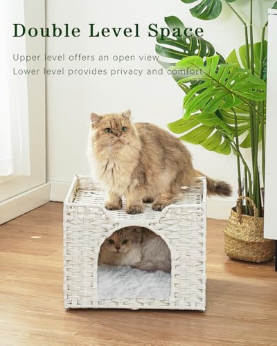 SETVSON Cat Beds Indoor Kitten House, Handwoven Rattan Cat Cave Pet Cube, Large Cat Houses, One Bed Mat, Foldable, Hideaway, 16.5x16.5x13.2 Inches, 2 S-Shaped Hooks in Living Room Bedroom White - color: White, size: Rectangle-M