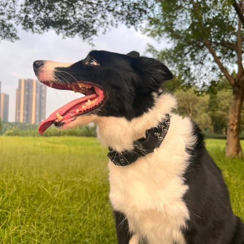 Luxury Leather Spike Dog Collar, Double-Layer Soft Cowhide, Punk Style for Medium and Large Dogs, Pit Bulls, Rowena (Black,XL-Neck 49-57cm) - color: Black, size: XL-neck 49-57cm