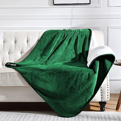 Waterproof Blanket for Bed Couch Sofa, Soft Liquid Pee Proof Pet Blanket for Dog Puppy Cat, Reversible Sherpa Fleece Furniture Protector (Green, 50x60 inches) - color: Green, size: 50x60 inches