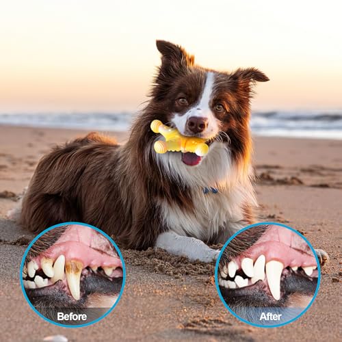 PETSTA Dog Chew Toys for Aggressive Chewers, Durable Dog Toys for Large Dogs, Heavy Duty Dog Toys/Large Dog Toys/Indestructible Dog Toys, Tough Dog Toys for Medium/Large Dogs Breed (New 4 Pack) - color: New 4 Pack