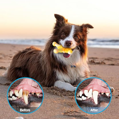 PETSTA Dog Chew Toys for Aggressive Chewers, Durable Dog Toys for Large Dogs, Heavy Duty Dog Toys/Large Dog Toys/Indestructible Dog Toys, Tough Dog Toys for Medium/Large Dogs Breed (New 4 Pack) - color: New 4 Pack