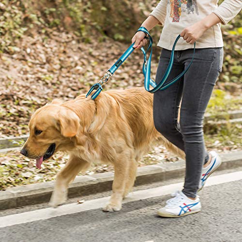 Martingale Dog Collar No Pull Pet Collar Heavy Duty Dog Martingale Collars Silky with Unique Geometric Pattern for Medium and Large Dogs (Large, Turquoise) - color: Turquoise, size: Large: 17"-25", 1" Wide
