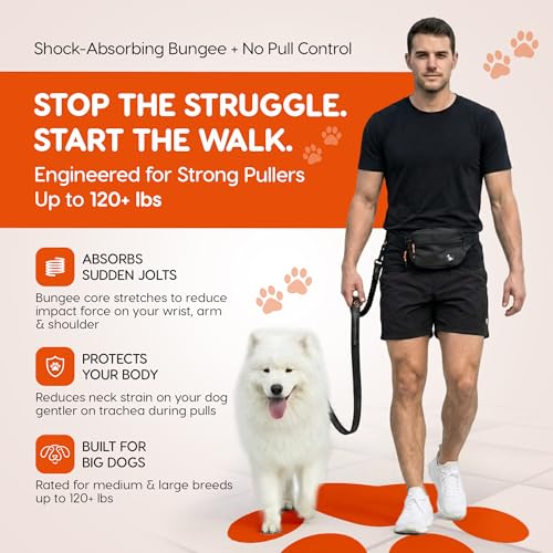 Retractable Hands Free Dog Leash with Zipper Storage Pouch - 3-Piece Bungee Running, Walking & Hiking Leash with Waist Belt - Release Clip, One Button Lock - Reflective Stitching for Medium Large Dogs - color: Q-Leash 3-Piece