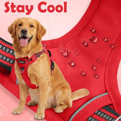 Funfox Dog Harness No Pull, Adjustable Pet Vest Harness, Super Soft Material with Vertical Handle Easy Control, Reflective Night Walking, 2 Leash Clips for Small Sized Dogs, Red, S - color: Red, size: Small