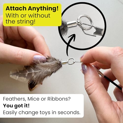 Forever Stick - Unbreakable Cat Wand Toy | Solid 1-Piece Fiberglass Rod - Bends, Doesn’t Break | 3-Year Warranty | 36 Inch Cat Fishing Pole Toy with Spinning Feather Toy | 2-in-1 String Toy and Teaser - size: Forever Stick 1-Pack