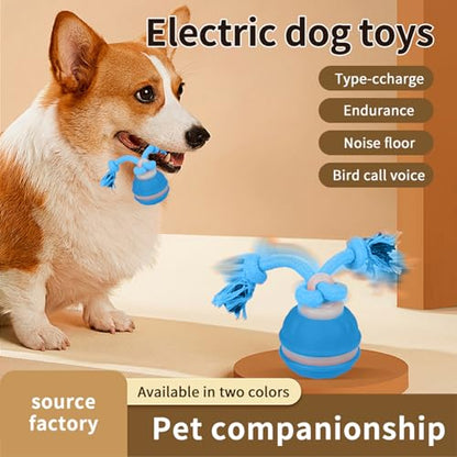 Interactive Dog Toys Dog Ball,Automatic Rolling and Bouncing Moving Dog Toy,Squeaky Rolling Balls with Flashing Light,USB Rechargeable Chew Toys for Puppy Small Dogs, Pet Ball to Keep Them Busy - color: Blue