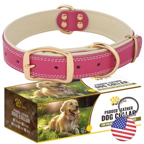 ADITYNA Heavy-Duty Pink Leather Dog Collar for Large Dogs - Soft Padded for Comfort - Girl Dog Collar for Walking, Training, and Hiking - color: Pink - Gold Colored Buckle, size: Large: Fit 17-23" Neck