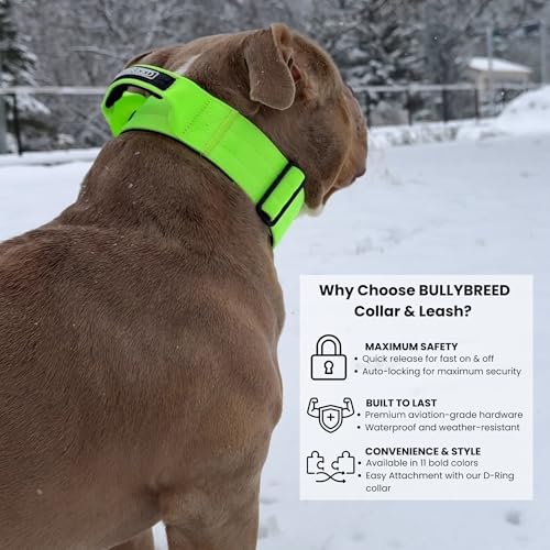 BULLYBREED | Heavy Duty Dog Leash, Tactical Dog Leash, Quick Release Frog Clip with Anti-Tangling Swivel System for Large Dogs that Pull with Soft Double Handles (5 FT Long, Neon Green) - color: Neon Green