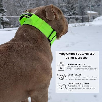 BULLYBREED | Heavy Duty Dog Leash, Tactical Dog Leash, Quick Release Frog Clip with Anti-Tangling Swivel System for Large Dogs that Pull with Soft Double Handles (5 FT Long, Neon Green) - color: Neon Green