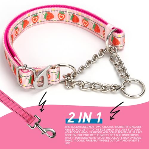 Strawberry Martingale Dog Collar with Chain -Reflective No-Pull Dog Collar, Adjustable Choker Collar for Medium,Large & XL Dogs (Large) - color: 14, size: L(Neck15"-22")