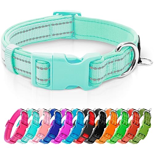 Reflective Dog Collar,Soft Neoprene Padded Pet Collar with ID Tag Ring,Adjustable for Puppy and Small Dogs,Teal,XS - color: Teal, size: X-Small (Pack of 1)