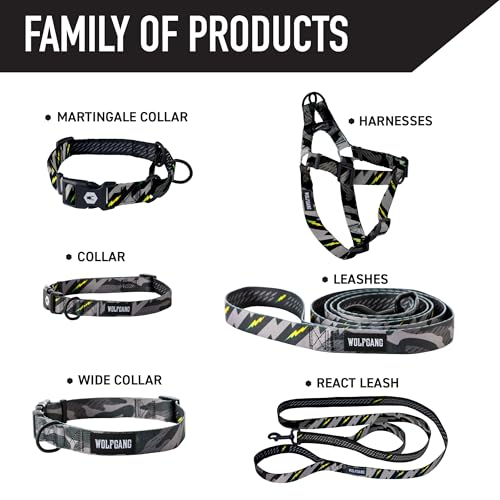 Wolfgang Heavy Duty Martingale Dog Collar with Quick Release Nylon Buckle for Walking & Training, DarkSkies Print, Small - color: DarkSkies Print, size: Small (5/8 Inch x 10-12 Inch)