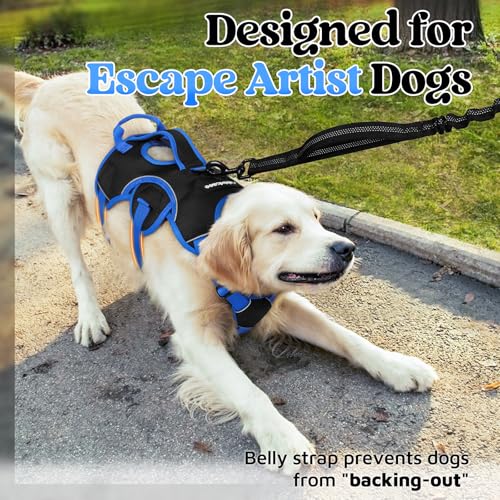 rabbitgoo Escape Proof Dog Harness Large Dogs, Soft Padded Full Body Pet Harness, Reflective Adjustable No Pull Vest with Lift Handle and Leash Clip for Walking Hiking Training, Blue & Black, M - color: Blue & Black, size: Medium (Pack of 1)