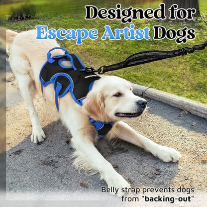 rabbitgoo Escape Proof Dog Harness Large Dogs, Soft Padded Full Body Pet Harness, Reflective Adjustable No Pull Vest with Lift Handle and Leash Clip for Walking Hiking Training, Blue & Black, M - color: Blue & Black, size: Medium (Pack of 1)