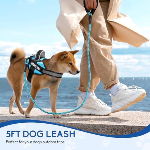 Service Dog Vest Harness and Leash Set, Animire in Training Dog Harness with 10 Dog Patches, Reflective Dog Leash with Soft Padded Handle for Dogs (Light Blue,Xs) - color: Light Blue, size: XS