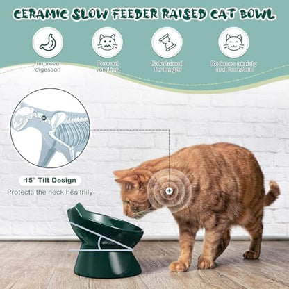 Funnymoom 2 Pcs Ceramic Raised Slow Feeder Cat Bowl, 5.91inch Elevated Cat Slow Feeder Bowl Tilted Anti Vomiting for Dry Wet Food and Water Easy to Clean High Edge(Dark Green) - color: Dark Green