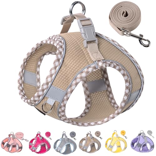 Petank Dog Harness for Small Medium Dogs No Pull, Puppy Harness and Leash Set for Walking, Running, Training, Small Dog Harness, Medium Dog Harness (Brown, XS) - color: Brown, size: XS