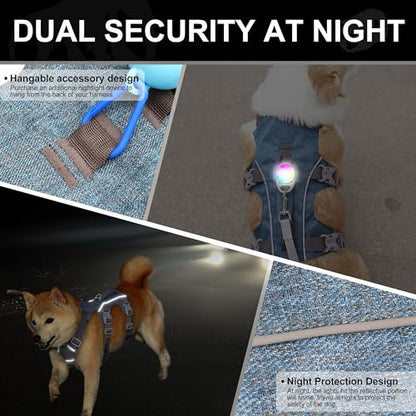 Escape Proof Dog Harness with Handle - Reflective No Pull Dog Vest, Lightweight Full Body Pet Harness Adjustable for Small Dogs Walking,Training(Blue,Chest:14-22") - color: Blue, size: XS: Chest 14-22", Fit 8-12 lbs