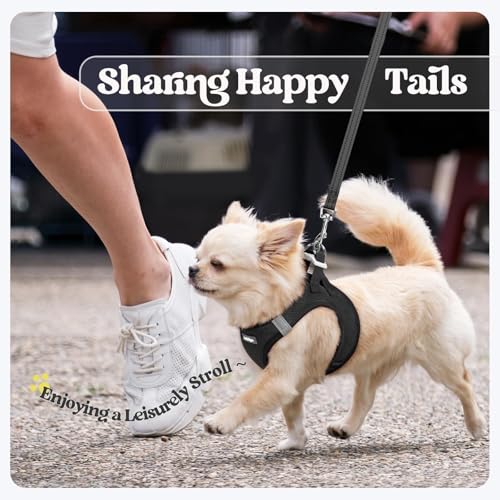 rabbitgoo Dog Harness Small Medium Sized and Leash Set, Step in Soft Light Puppy Vest, Breathable Mesh Pet Harness, Reflective for Safe Easy Walking, Black L - color: Black, size: L (chest: 18.2 - 20.5")