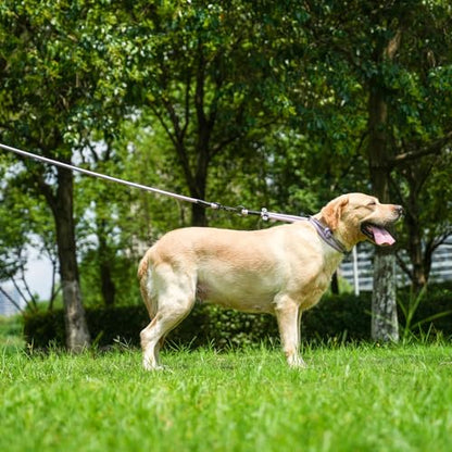 Rope Dog Leash, 4 ft Heavy Duty Dog Leash with Aviation Aluminum Auto Locking Carabiner, Strong Nylon Pet Lead for Small, Medium, Large Dogs (Brown, 4FT) - color: Brown, size: 4 Foot Single Handle