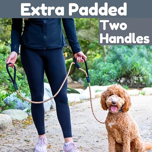 6 Foot Dog Leash, Two Extra Padded Handles, Locking Carabiner Clip, Reflective for Night Visibility, Weatherproof, Heavy Duty Rope Leash, Roam Gear (Brown) - color: Brown