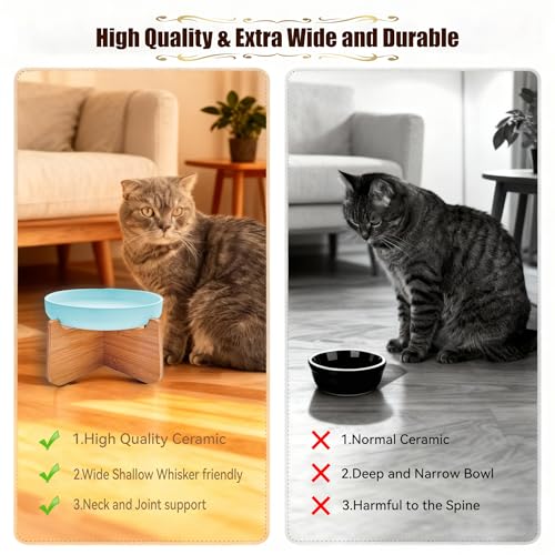 Shallow Elevated Cat Bowls with Bamboo Stand, 6.1 Inch Wide Ceramic Cat Dish Whisker Friendly, 2 Pack Pet Food and Water Plates - color: Blue 2 pack