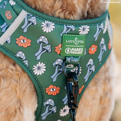 Lucy & Co. x Parks Project Power to the Parks No-Pull Dog Harness, Adjustable Front Clip Harness with Comfort Padding, Small - color: Power to the Parks, size: Small