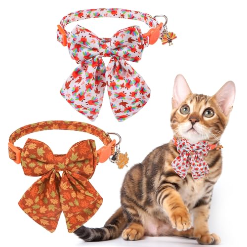 SCENEREAL Fall Cat Collar with Bell & Stylish Bowtie, Turkey Maple Leaf Pattern Breakaway Cat Collars Accessories for Boy Girl Small Cats, Holiday Thanksgiving Kitten Costumes for Female Male Pets - color: Stylish Bow (Thanksgiving/Fall)