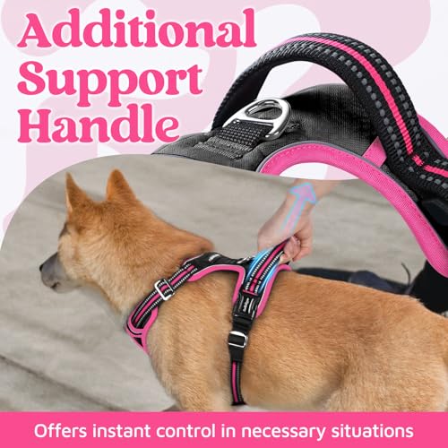 rabbitgoo Dog Harness Medium Sized, No Pull Dog Vest with 3 Buckles, Adjustable Soft Padded Pet Harness with Easy Control Handle and Reflective Strips, Black & Rose Pink, M - color: Black & Rose Pink, size: Medium