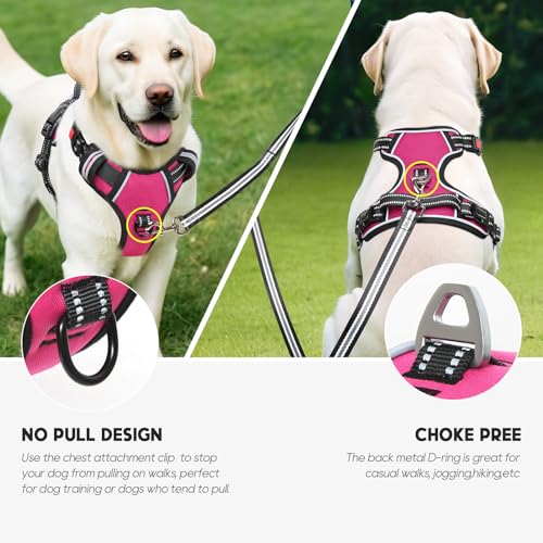 No Pull Dog Harness, No Choke Front Lead Dog Reflective Harness, Adjustable Soft Padded Pet Vest with Easy Control Handle for Small Medium Large Dogs, M - color: Lock-Rosy, size: Medium (Pack of 1)
