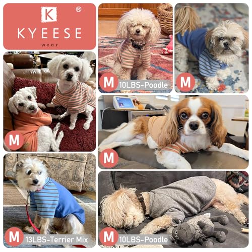KYEESE 2Pack Dog Sweater, Soft Puppy Sweatshirt Stretchy Pullover Dog Sweater for Small Dogs Boy, Lightweight Fleece Cat Shirt Pet Clothes with Sleeves, M - color: 02# Blue+Stripe, size: Medium (8.5-13lbs)
