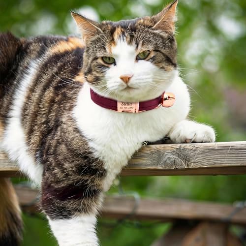 Personalized Non-Breakaway Cat Collar with Name, Luxury Soft Velvet Custom Engraved Name Collar with Bell for Kittens & Cats (Avocado Green, S (6.5-10.5 inches)) - color: Avocado Green, size: S (6.5-10.5 inches)