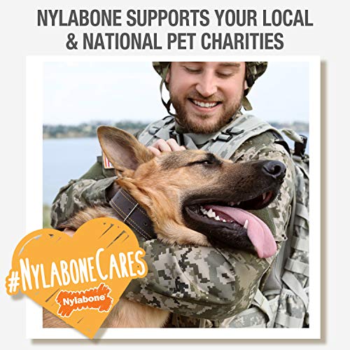 Nylabone Double Action Bone Power Chew Toy for Dogs, Rubber Dog Toys for Moderate & Aggressive Chewers, Bacon Flavor, Medium - Up to 35 lbs, 1 Count - size: Medium