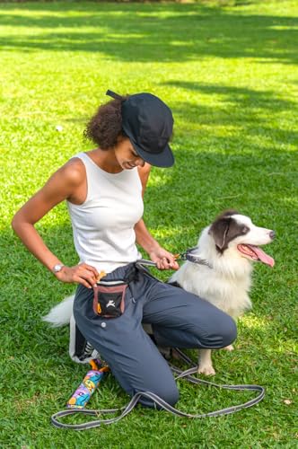 OllyDog Goodie Treat Bag, Dog Treat Pouch, Waist Belt Clip for Hands-Free Training, Magnetic Closure, Dog Training and Behavior Aids, Three Ways to Wear (Desert) - color: Desert