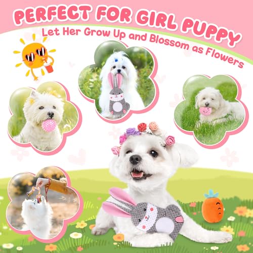 Zeaxuie Pink Puppy Toys for Teething - 9 Pack Small Dog Set With Chew, Squeaky Crinkle, Treat Ball and Interactive Rope for Puppies - color: 9 Pack (Pink-Bunny)