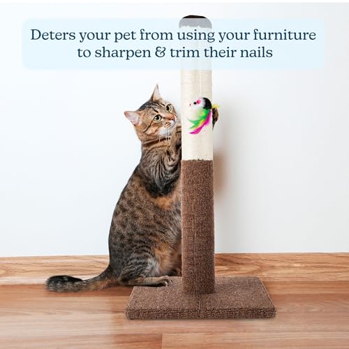 PETMAKER Cat Scratching Post - Tall Scratcher for Cats and Kittens with Sisal Rope and Carpet, Hanging Mouse Toy for Interactive Play (24.5 Inch) - color: Brown