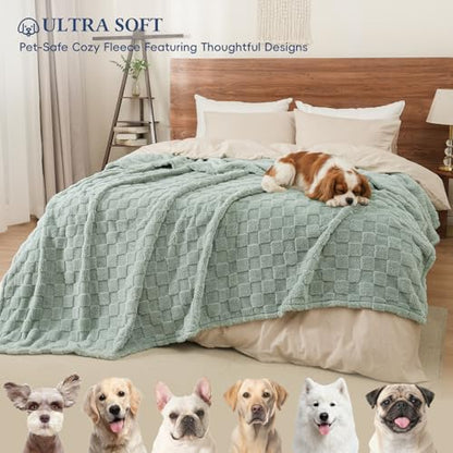 David's Home Large Dog Blankets Washable Pet Bed Cover, Soft Fluffy Fuzzy Cat Puppy Blanket with Premium 300GSM Fleece for Pet Kitten Doggy, Aqua Gray, 50x60IN - color: Aqua Gray, size: Throw