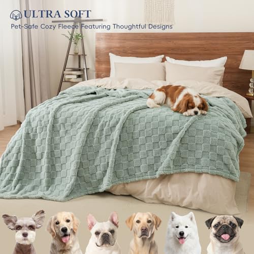 David's Home Large Dog Blankets Washable Pet Bed Cover Twin Size, Soft Fluffy Fuzzy Cat Puppy Blanket with Premium 300GSM Fleece for Pet Kitten Doggy, Aqua Gray, 66 * 90" - color: Aqua Gray, size: Twin