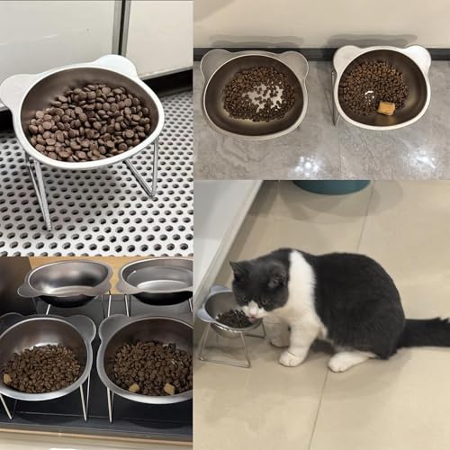 Stainless Steel Raised Cat Food Bowl for 2 Bowls, 5.9-Inch Replaceable Cat Bowl, Pack of 2 Indoor Cat Dishes for Food and Water (Dishwasher Safe) - size: 2Plates