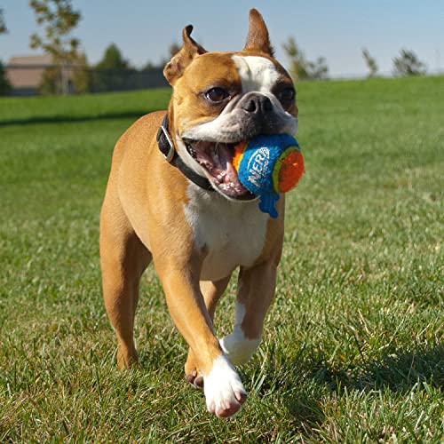 Nerf Dog 25in Translucent Air Strike Thrower, Dog Toy Gift Set with Five 2.5in Balls, Lightweight, Durable and Water Resistant, for Small/Medium/Large Breeds (Pack of 2) - size: 5 Piece Set (Pack of 2)