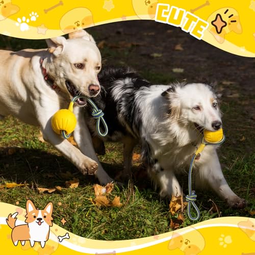 Hsei 2 Pcs Medium Dog Ball on a Rope Rubber Dog Toy with Handle Ball Yellow Floats in Water for Tug Training Rewards Interactive Pet Fetch Catch Throw Outdoor Puppy Teething Medium Pet - size: Medium